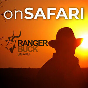 on safari